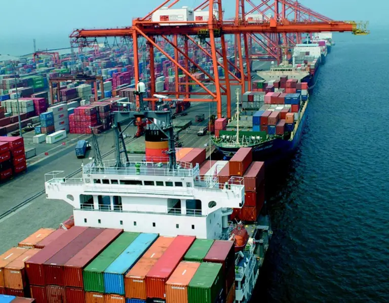 ICTSIs MICT flagship terminal together with the BCT Gdynia and Tecon Suape terminals generated a 100%+ increase in profits at the half-year