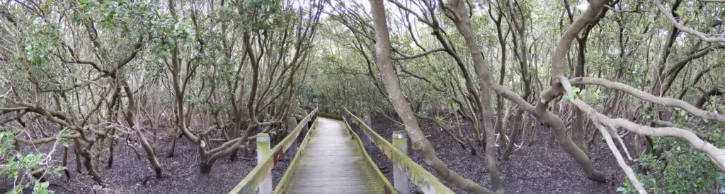 Port Strategy: a pretty boardwalk or future port location?