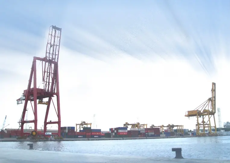 Port Strategy: Customs official criticises open access at Indonesian port
