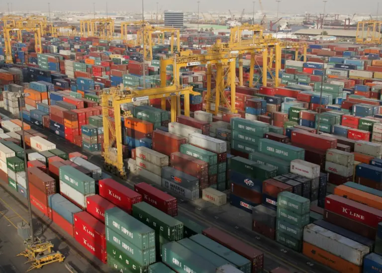 DP World has rejected the prospect of overcapacity stating there's enough drivers to "justify the need for expansion in our region"