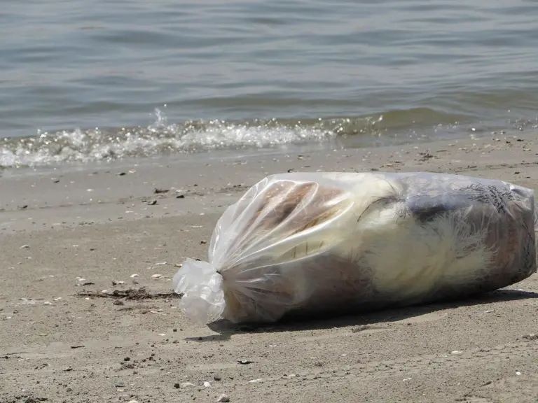 Flag states have an obligation to provide garbage disposal to stop ships dumping rubbish overboard. Credit: NOAA's National Ocean Service