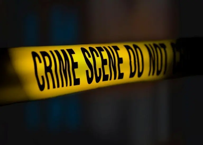 Criminal parts: ports can easily become unwittingly facilitators of crime. Credit: Brandon Anderson