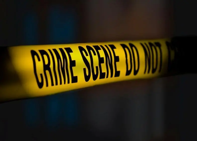 Criminal parts: ports can easily become unwittingly facilitators of crime. Credit: Brandon Anderson