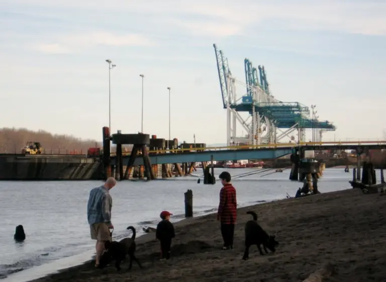 ICTSI says it's Terminal 6 success has been "undermined" by the ILWU workers. Photo: PAgent
