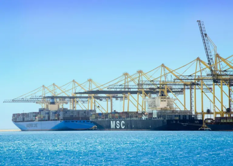 Newcomer: Blue seas and blue-sky thinking in Saudi Arabia