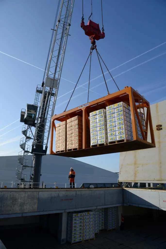 Refrigerated warehousing capacity has increased significantly at Antwerp. Credit: Antwerp Port Authority