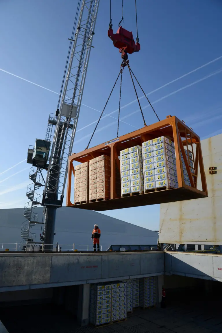 Refrigerated warehousing capacity has increased significantly at Antwerp. Credit: Antwerp Port Authority