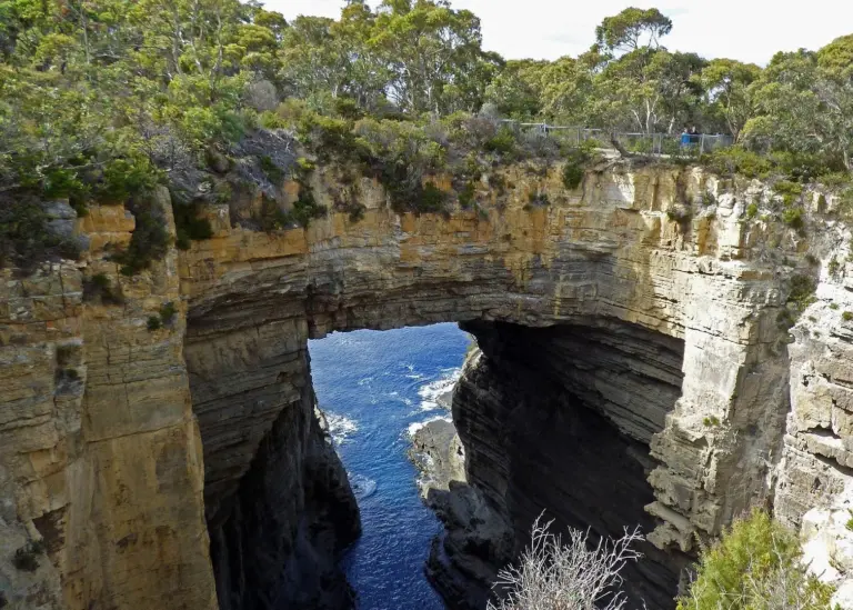 The TasPorts’ Port Master Plans focus on three major projects and several smaller investments (image is of Tasmania) Photo: ArvidO/Pixabay/CC0 Creative Commons