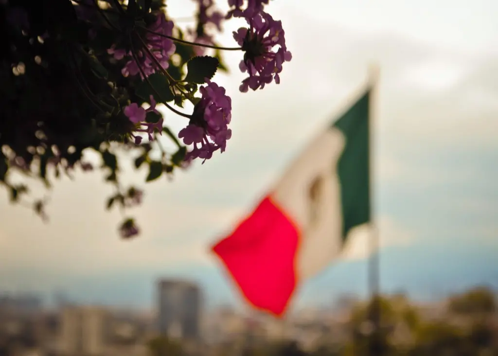There has been a reduction of 7.1% in finance allocated to the general ports directorate, whose budget has fallen from $3.04m to $2.82m Photo: Arantxa Treva/Pexels/Pexels License