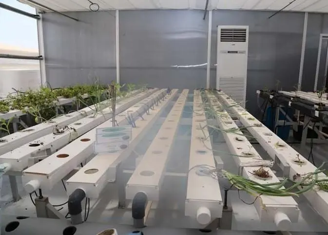 greenhouse