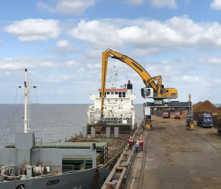 The first electrically-operated Liebherr port handling machine in the 200 tonne category is now in operation in DaFeng Port in China Photo: Liebherr