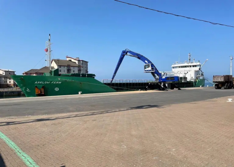 'Arklow Fern'