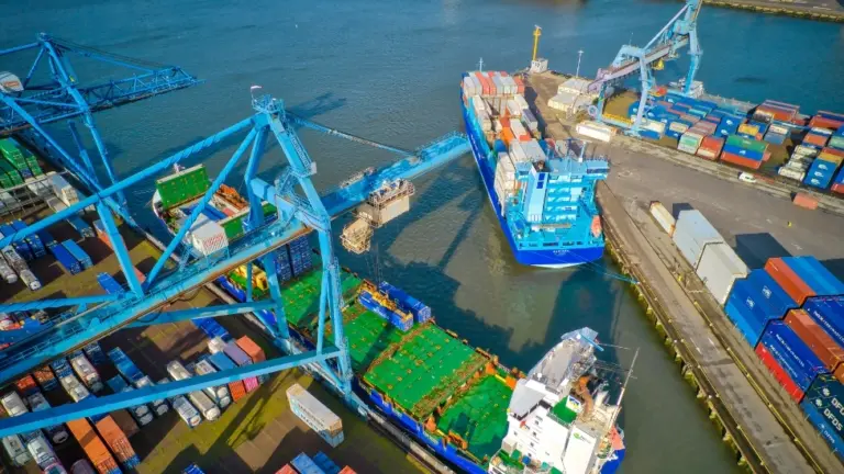 Coastlink - Rotterdam