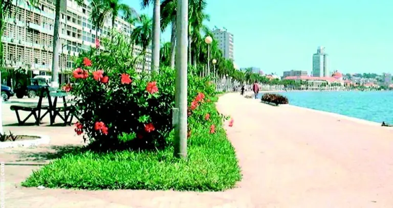 Luanda: Customs reform urgently needed