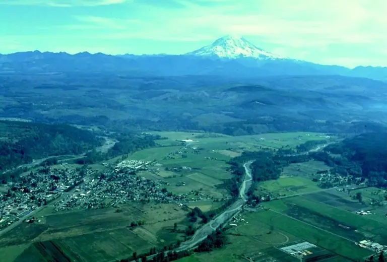 The Upper Puyallup River: a water quality buffer for acquatic life