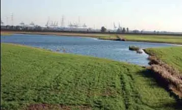 One of two permanent bird areas