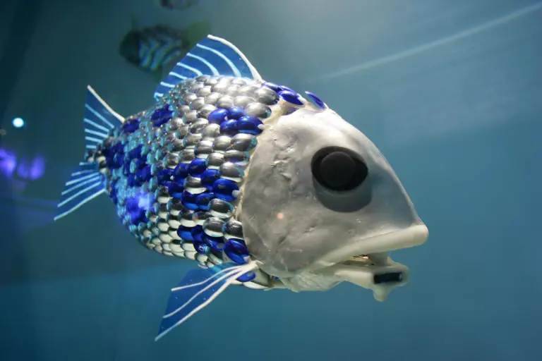 Robotic_fish_BMT.jpg