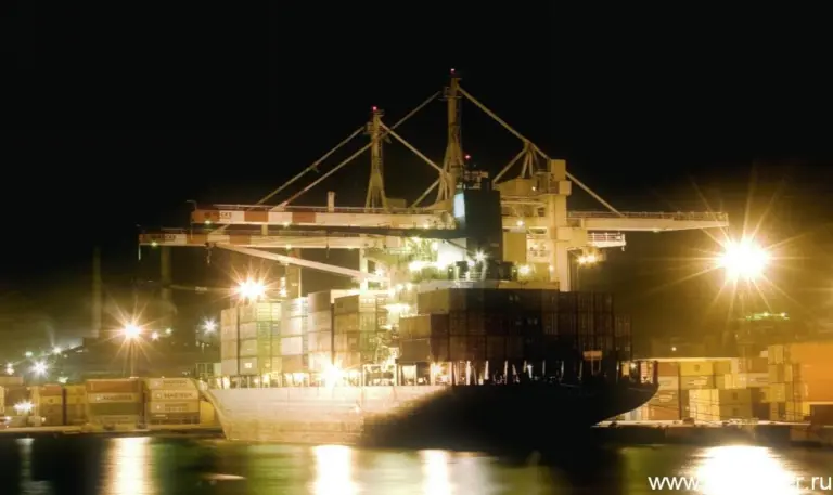 Nutep_container_terminal_ru.JPG