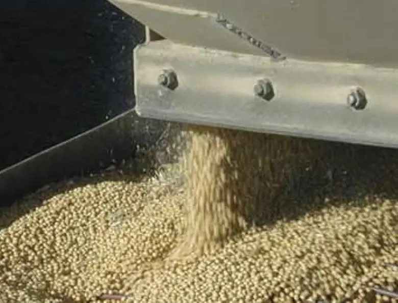 Argentina's ports may gain from growing soybean demand. Photo:IAState.Edu
