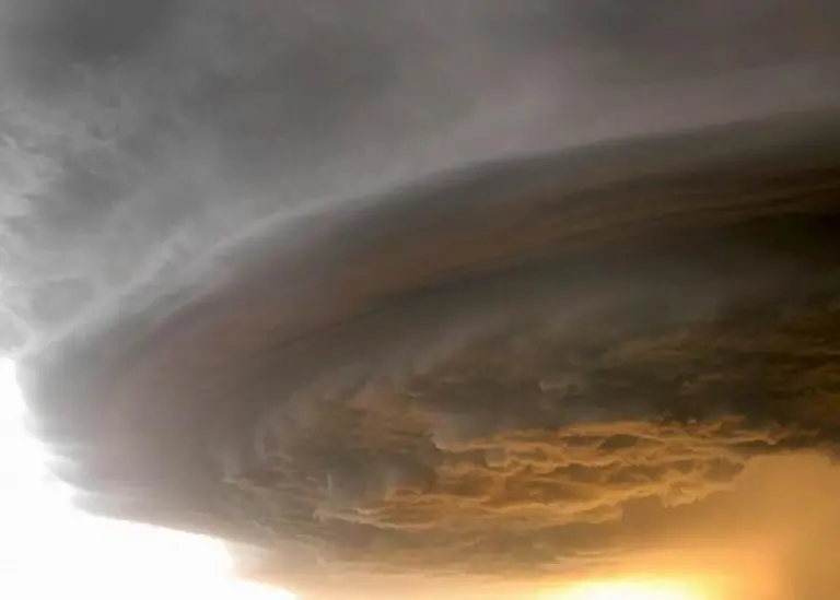 Insurance premiums - all a storm in a teacup?