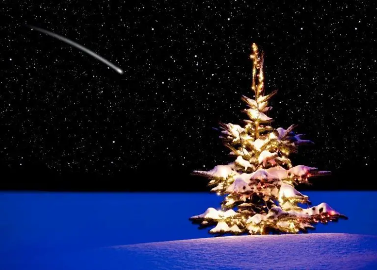 Happy Christmas from Green Port