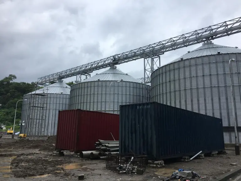 Grain growth: a new flour mill is boosting volumes at Subic