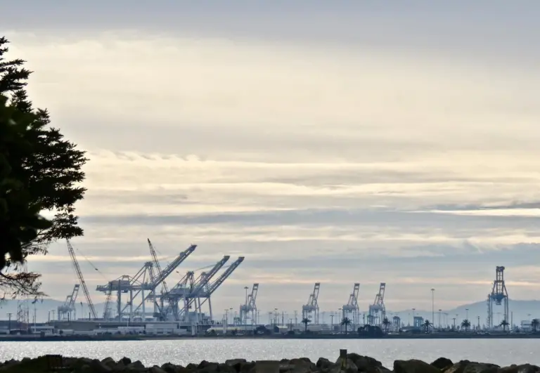 Oakland is held up as an innovator in incorporating digitisation. Credit: rulenumberone2, Flickr, CC BY 2.0