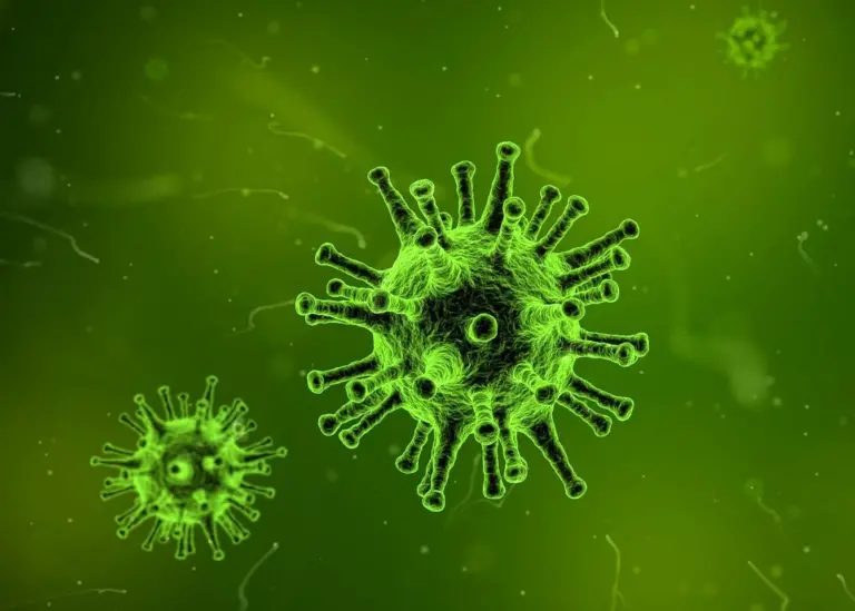 According to the Biological Security Strategy, diseases can spread insecurity, harm trade and increase migration Photo: qimono/Pixabay/CC0 Creative Commons
