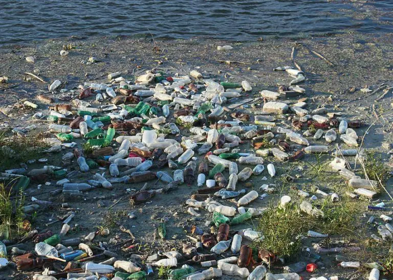 waterside debris