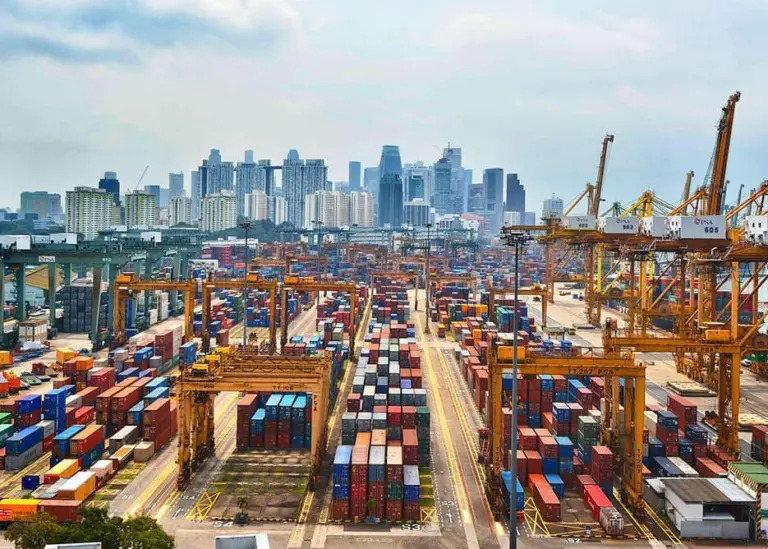 Singapore has successfully implemented its national Maritime Single Window port project Photo: Singapore Ministry of Transport