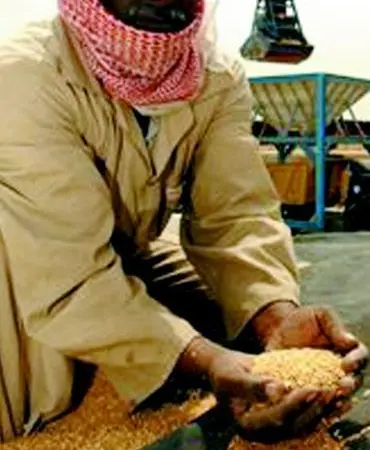 Grain to Iraq