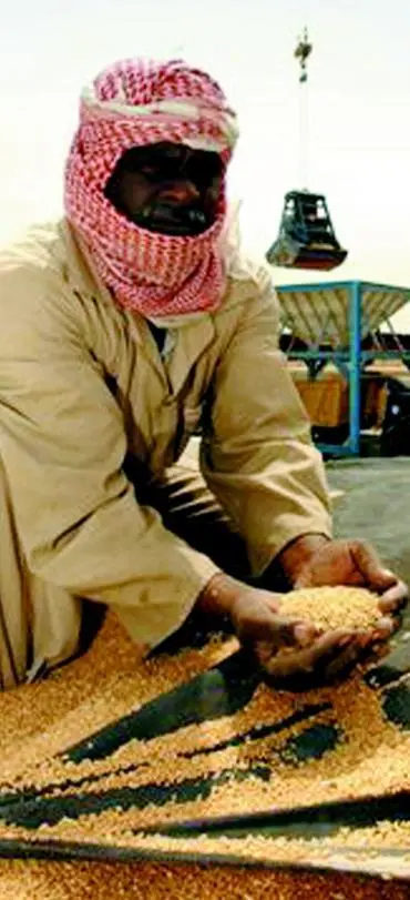 Grain to Iraq
