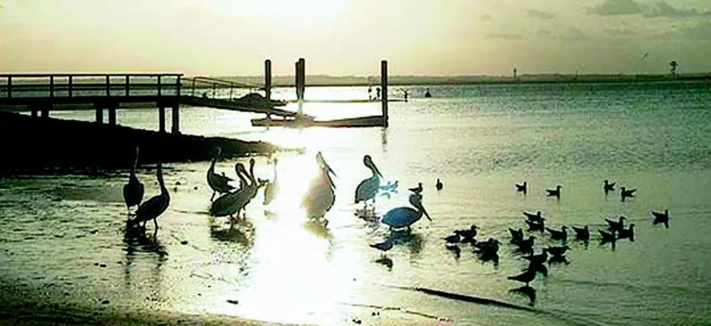 Botany Bay: independent commission of enquiry