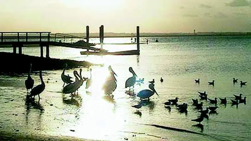 Botany Bay: independent commission of enquiry