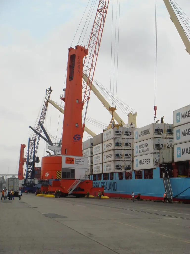Port Strategy: New MHCs improved handling speeds reducing the need for extra staff at Guayaquil