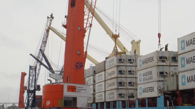 Port Strategy: New MHCs improved handling speeds reducing the need for extra staff at Guayaquil