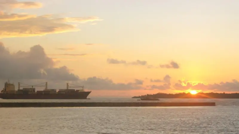 Port Strategy: the serenity of Buenaventura Bay will be disrupted by the start of box terminal works