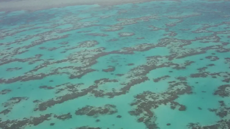 The Great Barrier Reef needs protecting says the ACF. Photo: NickJ