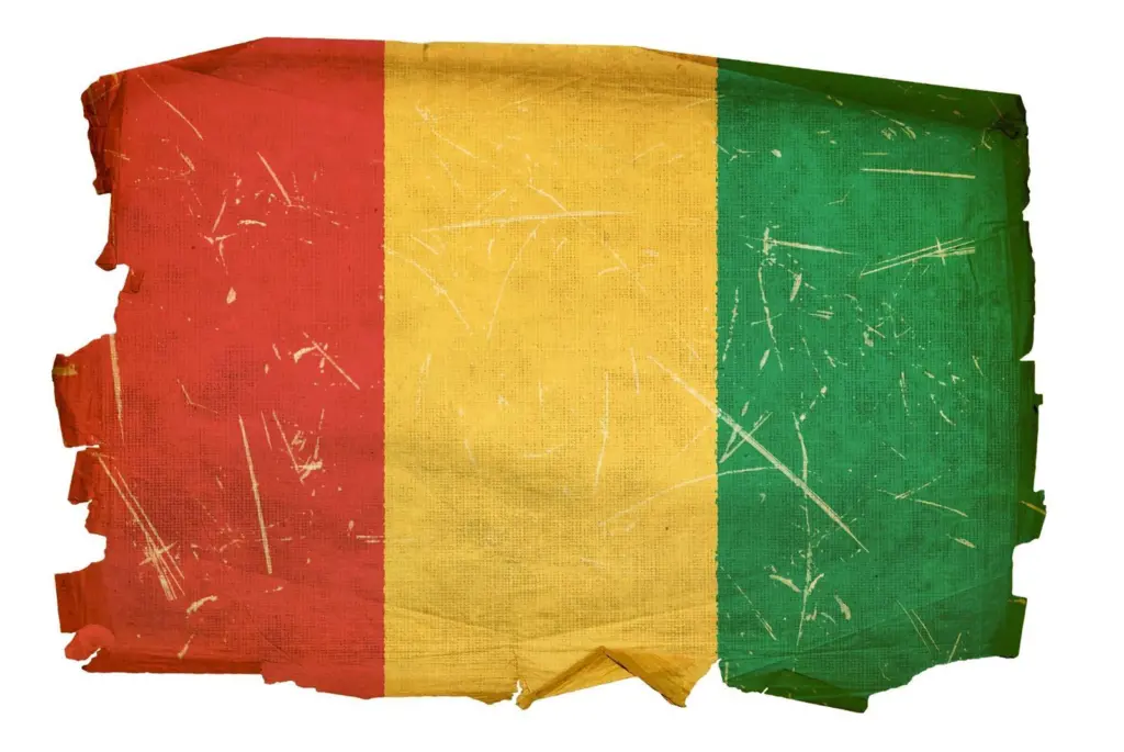 Guinea's roller-coaster concessioning ride shows no signs of stopping any time soon