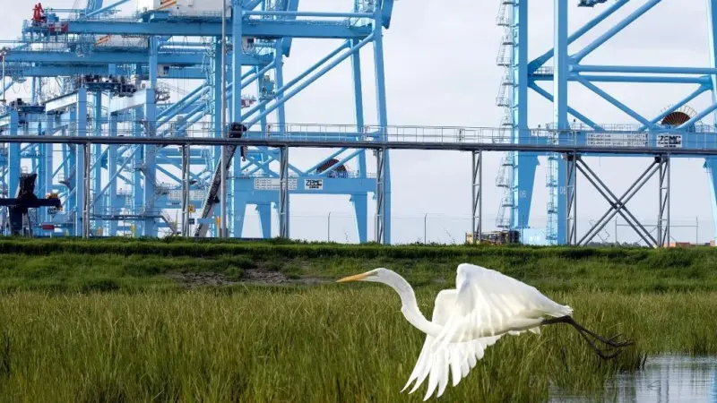 APMT is in a bid to operate Port of Virginia facilities