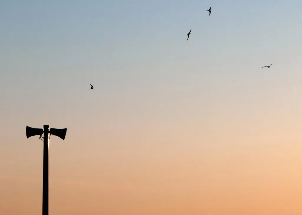 The local port community needs to voice support. Photo: Dirk Ingo Franke.jpg