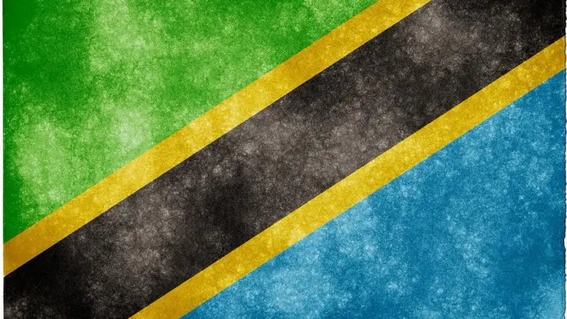 Flighty: Tanzania port woes continues.  Credit: Free Grunge Textures, www.freestock.ca