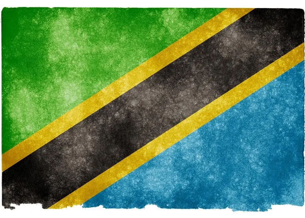 Flighty: Tanzania port woes continues.  Credit: Free Grunge Textures, www.freestock.ca