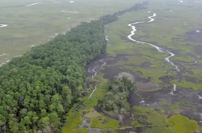 Environmental monitoring of the Savannah River is now underway