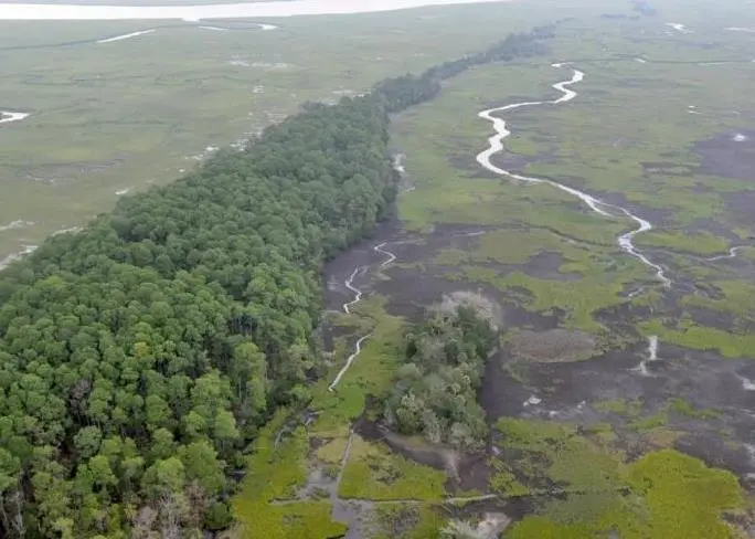 Environmental monitoring of the Savannah River is now underway
