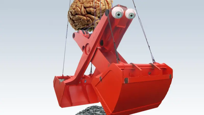 Learning: bulk handling is getting brainier