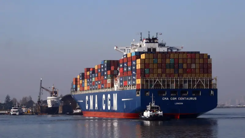 Hit: CMA CGM Centaurus took out a crane at Jebel Ali in May. Credit: Alexis Madriga