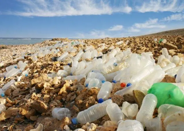 Plastic waste on a beach