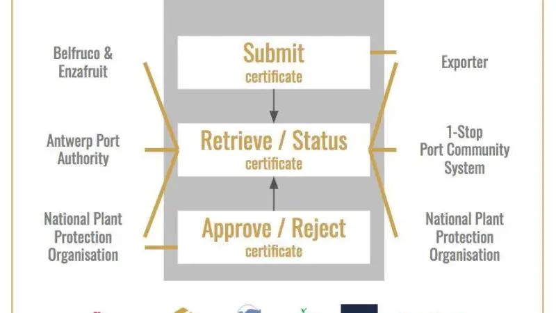 A diagram showing how all involved stakeholders will use blockchain to transfer phytosanitary certificates Photo: Port of Antwerp and T-Mining