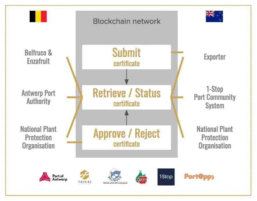 A diagram showing how all involved stakeholders will use blockchain to transfer phytosanitary certificates Photo: Port of Antwerp and T-Mining